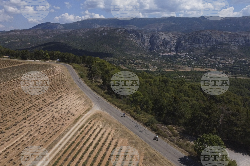 Сушата спря производството на традиционно френско сирене