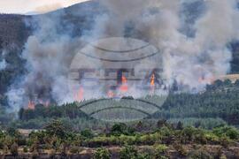 Село Елшица - горски пожар