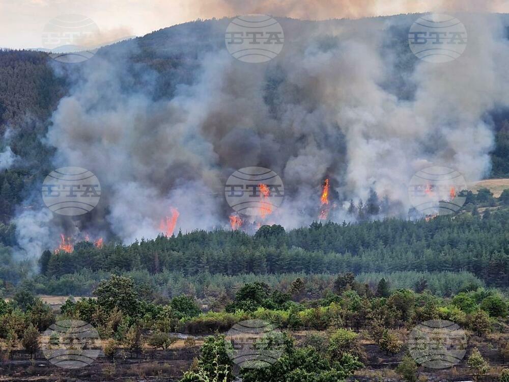 Бушуващ в България горски пожар заплашва Одрин