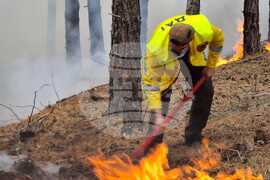 Село Елшица - горски пожар