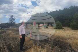 Село Елшица - горски пожар