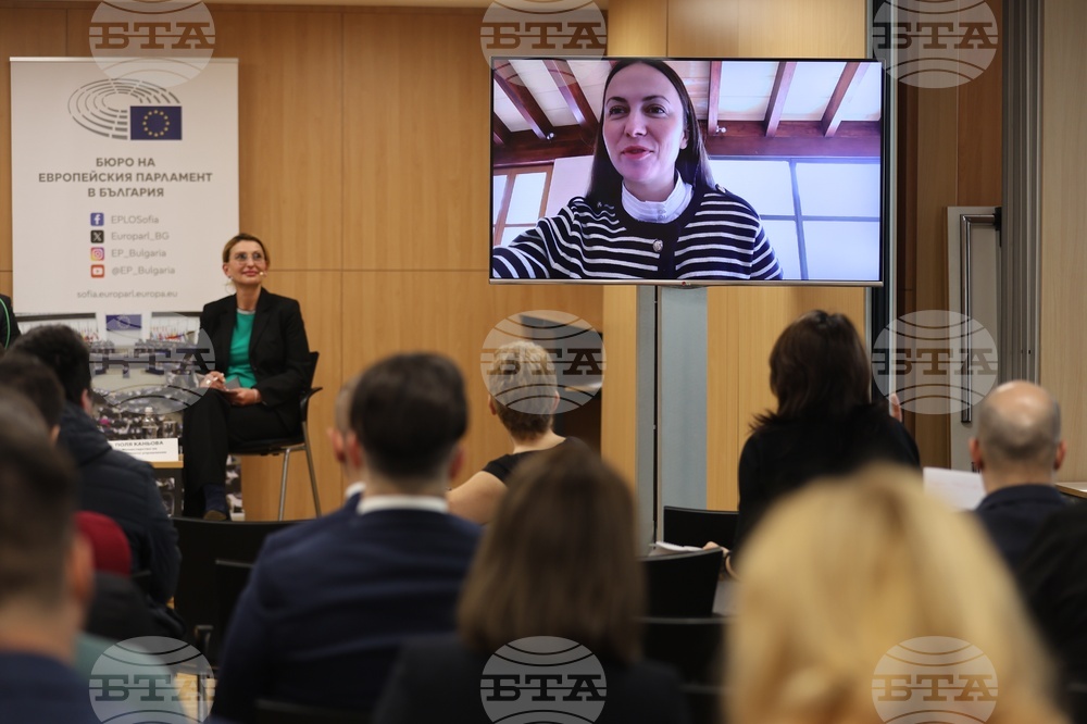 MEP Eva Maydell: EU Institutions Want to Develop AI in a Way Consistent with Democratic Values