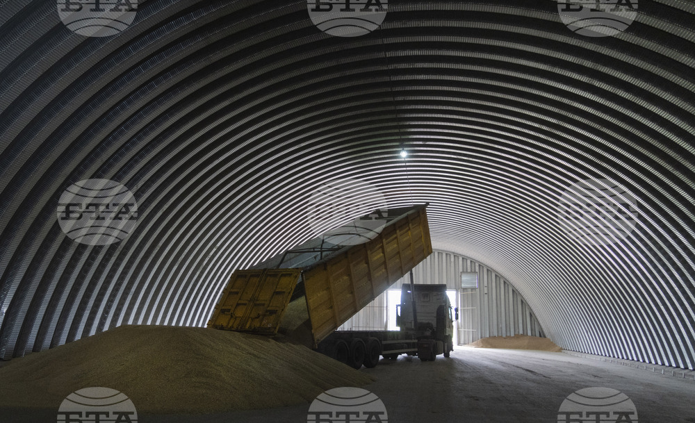 Казахстан очаква над 20 млн. тона реколта от зърно тази година - с над 6 млн. по-малко спрямо миналата година