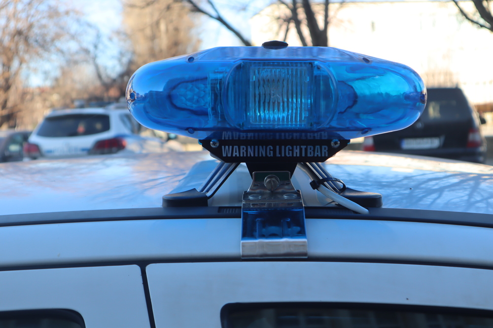 Полицията във Видин задържа двама мъже за незаконна сеч, хулиганство, унищожаване и повреждане на имущество