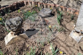 Добрич - музей - вандализъм