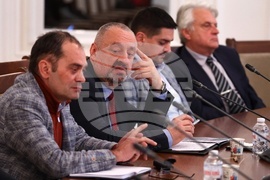 Народно събрание - комисия за Мартин Божанов