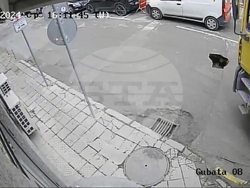 Снимка: Община Варна