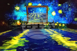 Румъния - Букурещ - музей - Ван Гог