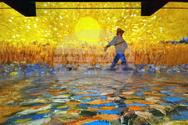 Румъния - Букурещ - музей - Ван Гог