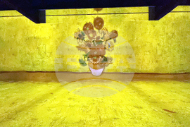 Румъния - Букурещ - музей - Ван Гог