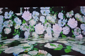 Румъния - Букурещ - музей - Ван Гог