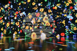 Румъния - Букурещ - музей - Ван Гог