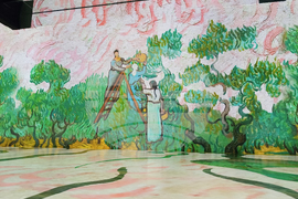 Румъния - Букурещ - музей - Ван Гог