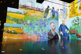 Румъния - Букурещ - музей - Ван Гог