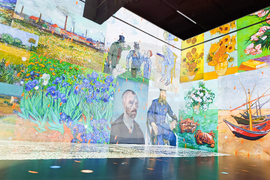 Румъния - Букурещ - музей - Ван Гог