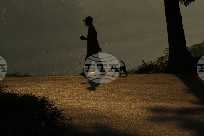 Котаракът на индонезийския президент под държавна закрила: неоправдан разход или инвестиция в дипломацията?