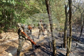 Село Пъстрово -  военнослужещи - пожар - гасене