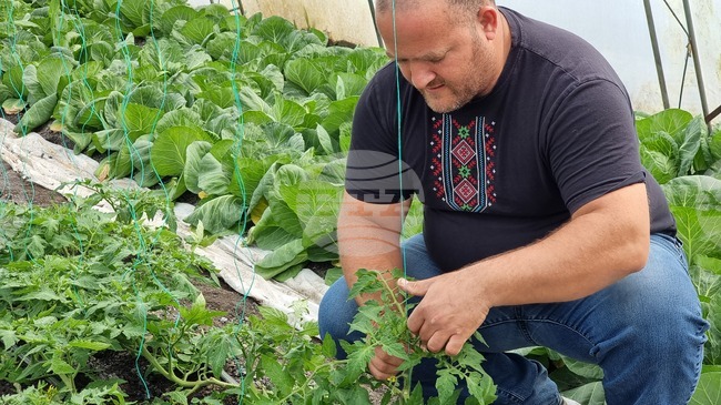 С над 4,4 млрд. лв. са подпомогнати земеделските производители в България през 2025 г., съобщиха от ресорното министерство