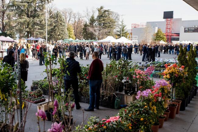 Новостите във флористиката, овощарството, градинарството и озеленяването представят на изложбата "Цветна пролет" в Панаира в Пловдив
