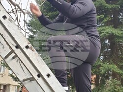 Снимка: Община Банско