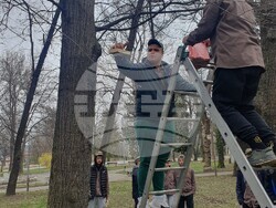 Снимка: Община Банско