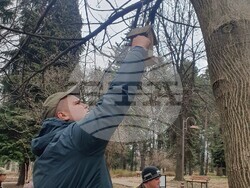 Снимка: Община Банско