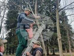 Снимка: Община Банско