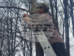 Снимка: Община Банско