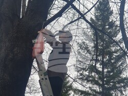 Снимка: Община Банско