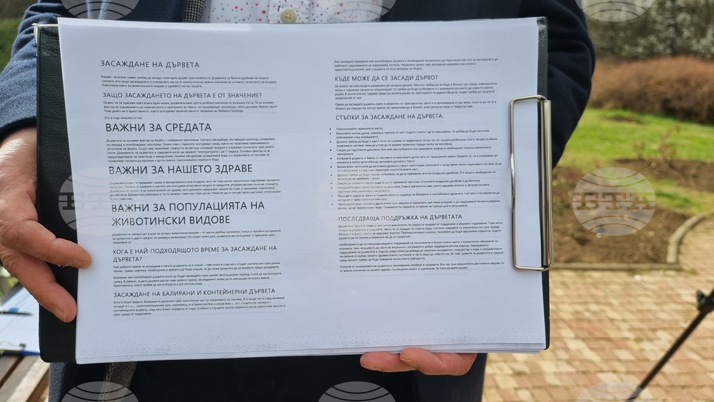 Добрич - инициатива - дървета
