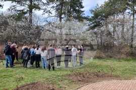 Добрич - инициатива - дървета