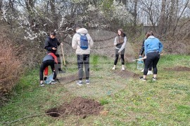 Добрич - инициатива - дървета