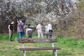 Добрич - инициатива - дървета