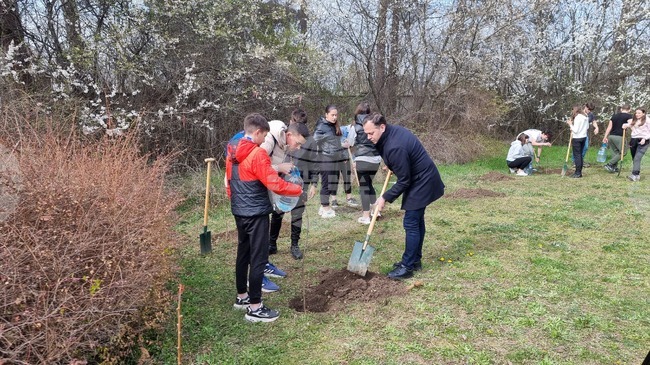 Добрич - инициатива - дървета
