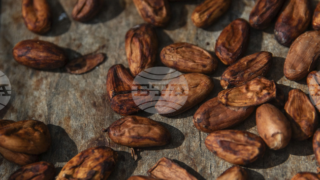 Какаото и горските плодове предпазват сърцето при продължително седене, сочи проучване