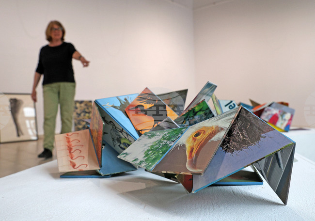 Варна - Градска художествена галерия - проект “Естествено пространство”