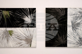 Варна - Градска художествена галерия - проект “Естествено пространство”