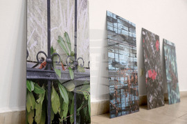 Варна - Градска художествена галерия - проект “Естествено пространство”