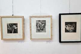 Монтана - „Малки графични форми“ - изложба