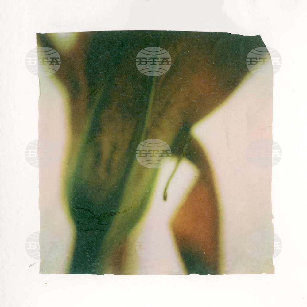 Johana Trayanova's Photo Art Show: A Study of Fragility