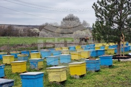 Село Робово - инициатива "На гости на Тунджа"