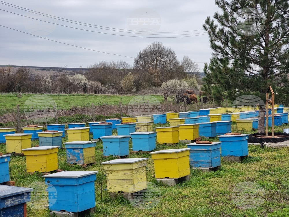Село Робово - инициатива "На гости на Тунджа"