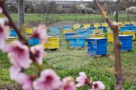 Село Робово - инициатива "На гости на Тунджа"
