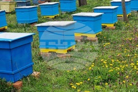 Село Робово - инициатива "На гости на Тунджа"