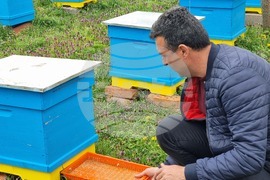 Село Робово - инициатива "На гости на Тунджа"