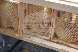 Село Робово - инициатива "На гости на Тунджа"