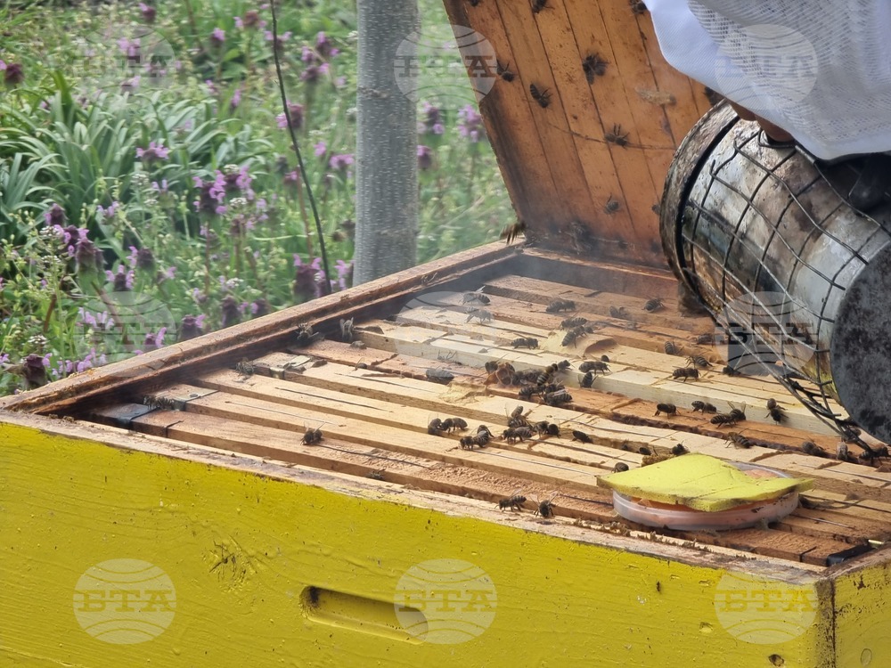 Село Робово - инициатива "На гости на Тунджа"