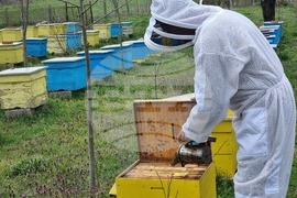 Село Робово - инициатива "На гости на Тунджа"