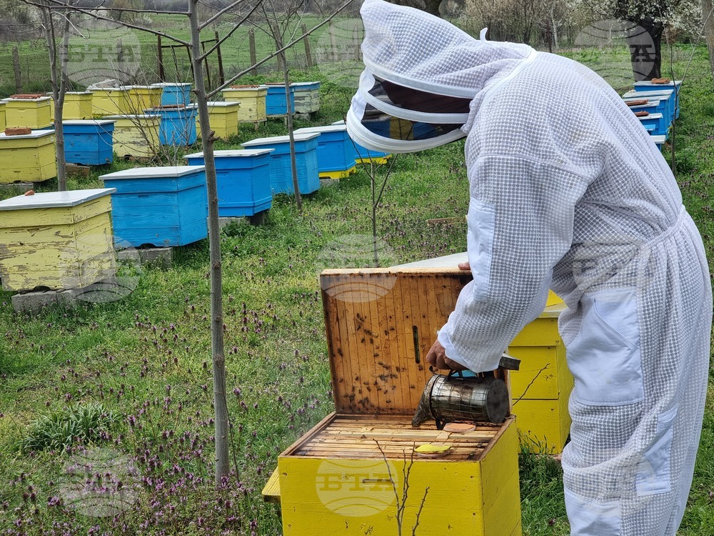 Образователен екоцентър във Варна учи децата да опознават пчелите и да опазват бъдещето си