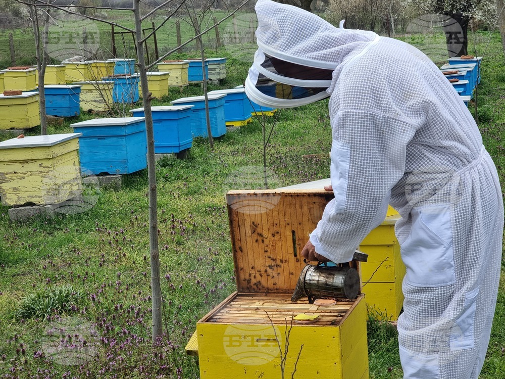 Село Робово - инициатива "На гости на Тунджа"